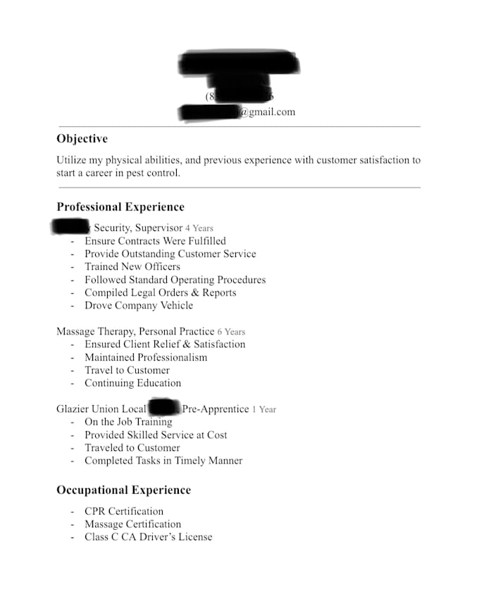 Resume Builder With Cv By Lali S