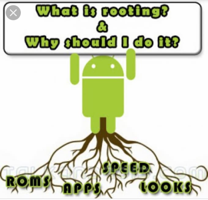 I root com. I am root. Root after and another. Stimulating rooting nem.
