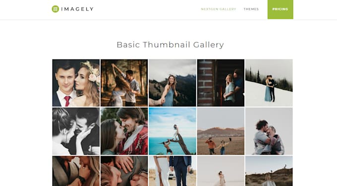 create awesome image gallery page on your wordpress website