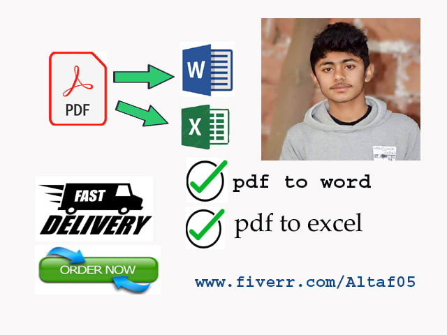 manually convert pdf to word,or pdf to excel