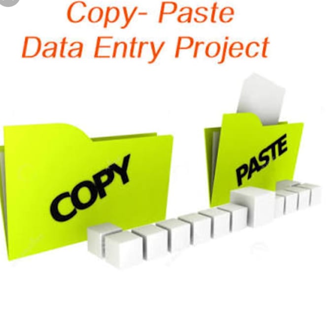 Data entry and copy paste work by Shivanimanik | Fiverr