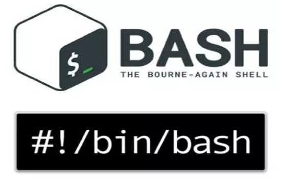 write a python script for you