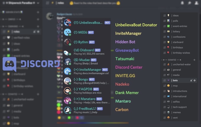 Make A Professional Discord Server Within 24 Hours By Superbadger