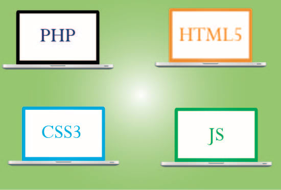 Create and fix any bug issue, error in your php html css by ...
