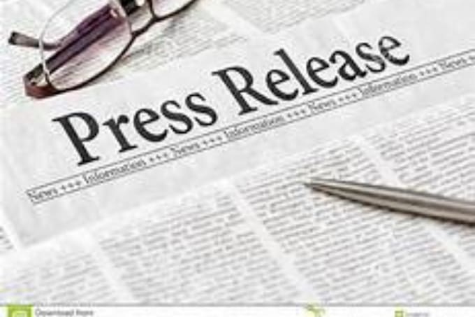 manually do 2 press release sites and 20 blogs submission