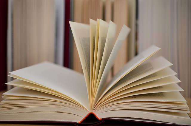 write articles for you