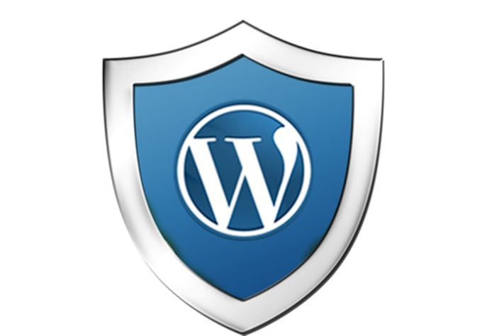 perform a professional Wordpress installation onto your webserver