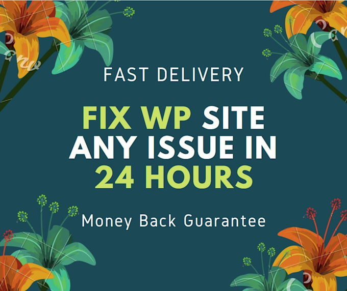 fix any wordpress website problem or errors in 24 hrs