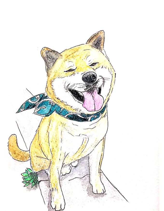 customize your cute pet, animal illustration for you
