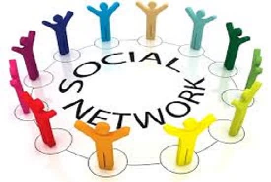 I will do high da live social profiles for your business