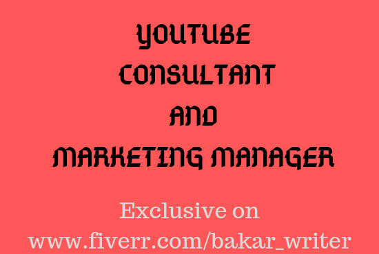 be your youtube consultant and marketing manager