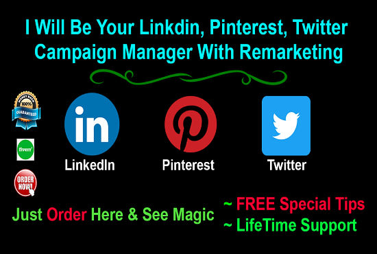 be your linkedin, pinterest, twitter account manager