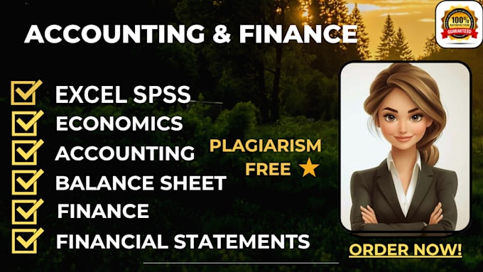 do accounting and finance assigned, financial analysis, report excel project