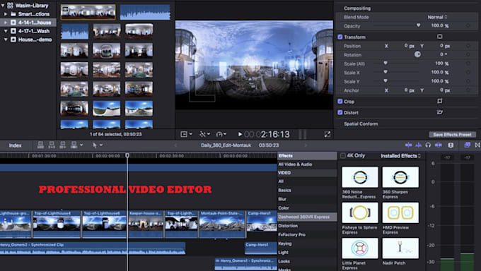 do professional video editing