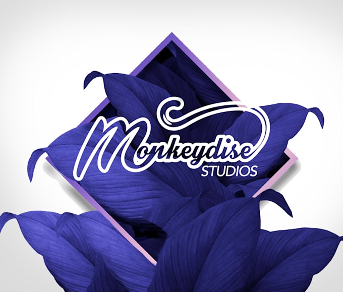 do a premium logo design