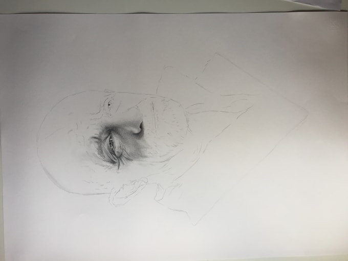Beautifull Hyperrealistic Pencil Portraits By Rosapescadesign
