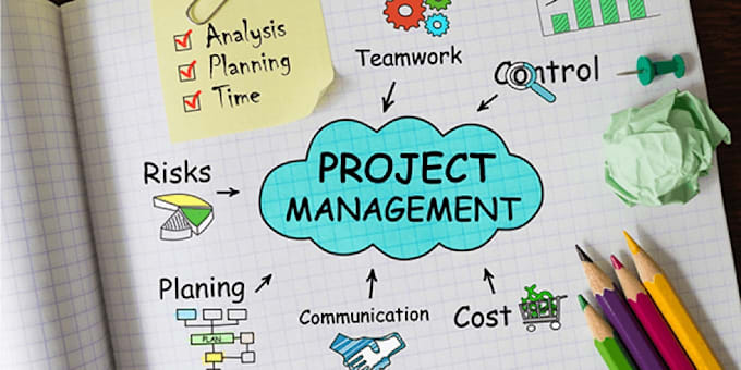 provide any expert project management required UK based message for price