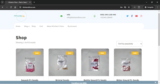 create wp website with domain, hosting and maintenance