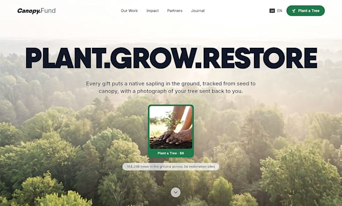 create wordpress non profit website, charity, ngo, nonprofit