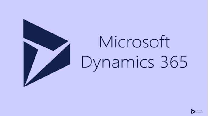 customize dynamics CRM 365