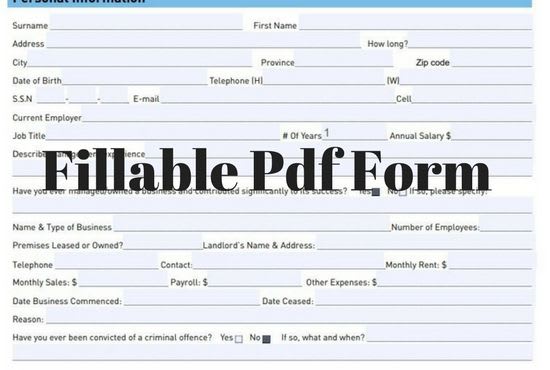 design fillable pdf form or convert doc to fillable pdf form