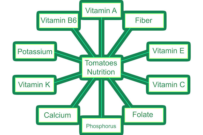 write professional lifestyle and nutrition articles