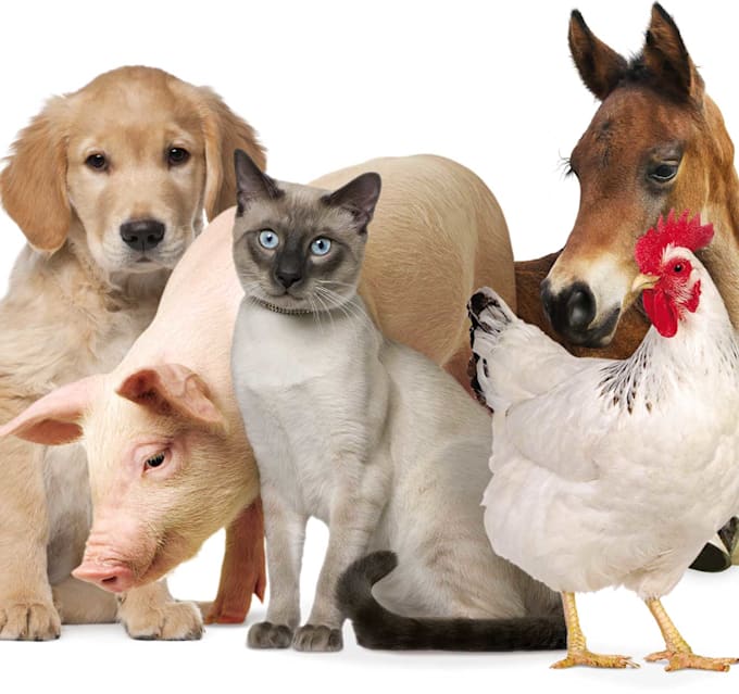 Astaxanthin manufacturer