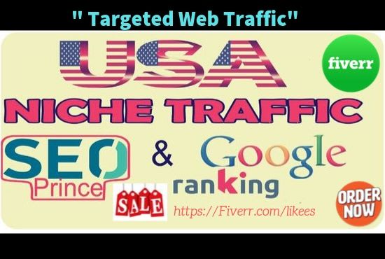 do  targeted USA web traffic with rank your website