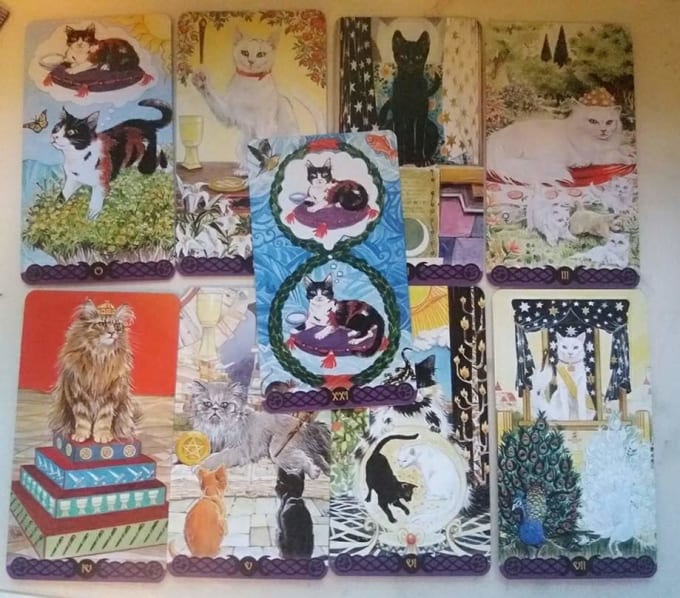 Do A Tarot Reading For You Using The Tarot Of Pagan Cats By