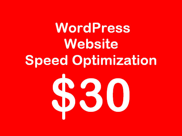 wordpress website speed optimization