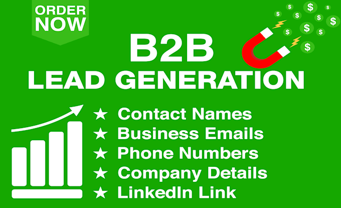 offer b2b lead generation and data entry in 24hrs