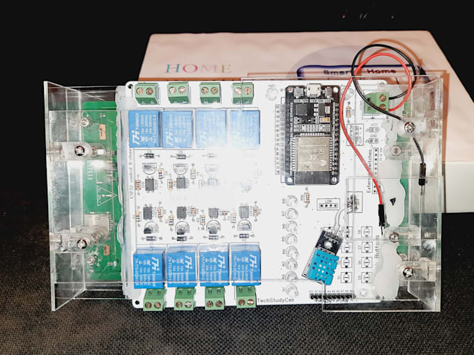 program arduino, esp32 and raspberry pi for iot, robotics and vision