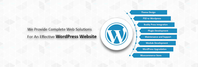make seo friendly wordpress website