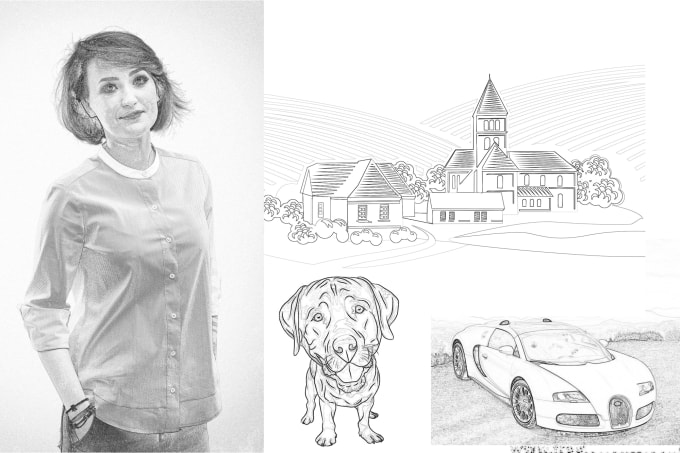 Draw Black And White Realistic Pencil Sketch Pencil Painting