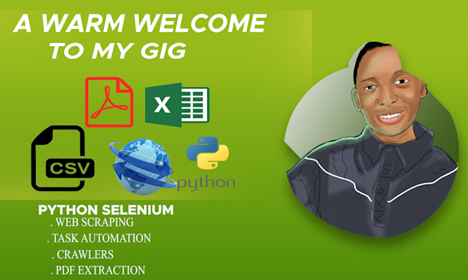 professionally scrape website, excel, PDF with python