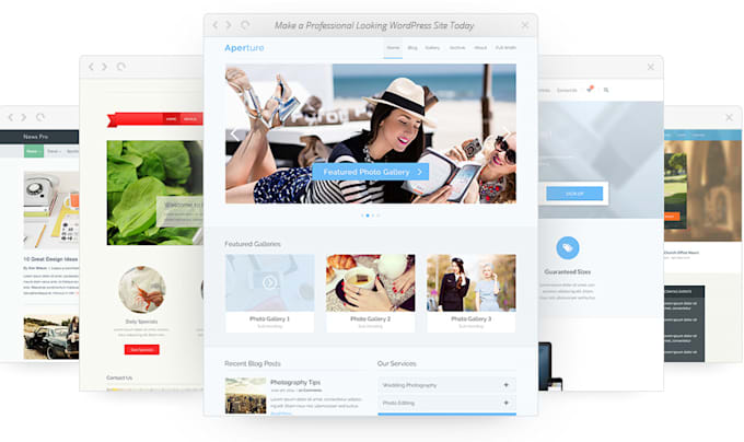 create a professional wordpress site