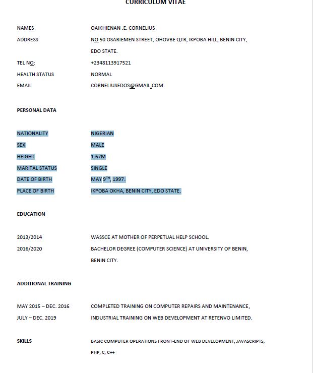 Resume Cv Language Translation By Cornelbaba