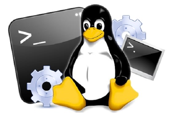 fix, manage, repair and help maintain your linux server