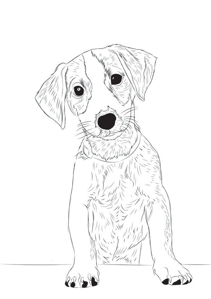 Draw line art, vector tracing by Liiusmar30 | Fiverr