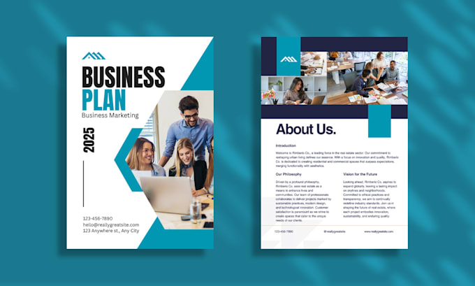 write and design professional business plan for startups