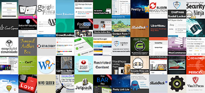 install any kind of wordpress plugin, theme and widgets