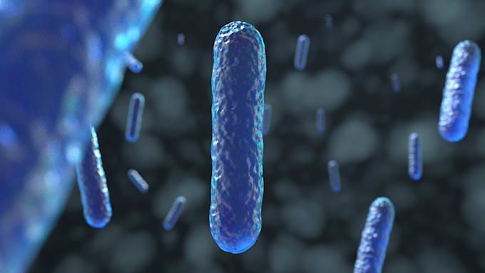 do high quality 3d medical animation and illustration