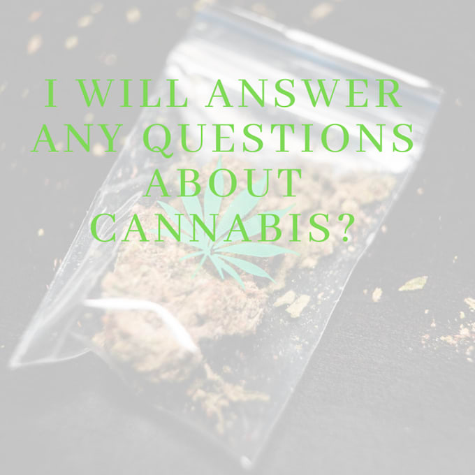 answer any question about cannabis
