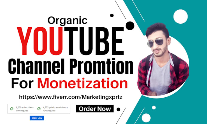 do organic youtube video promotion of your channel to get monetize