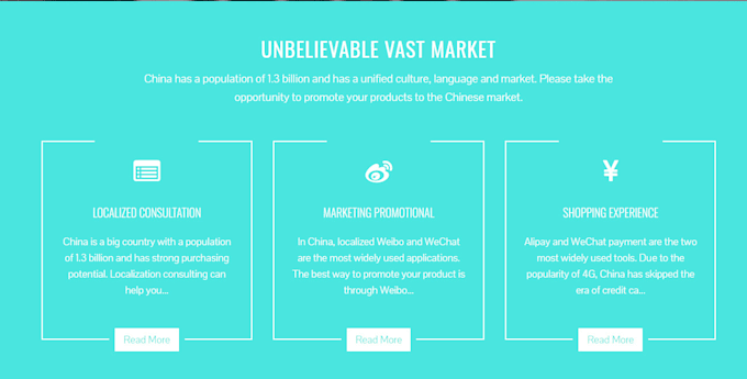 provide localized translation and promotion services for your app in china