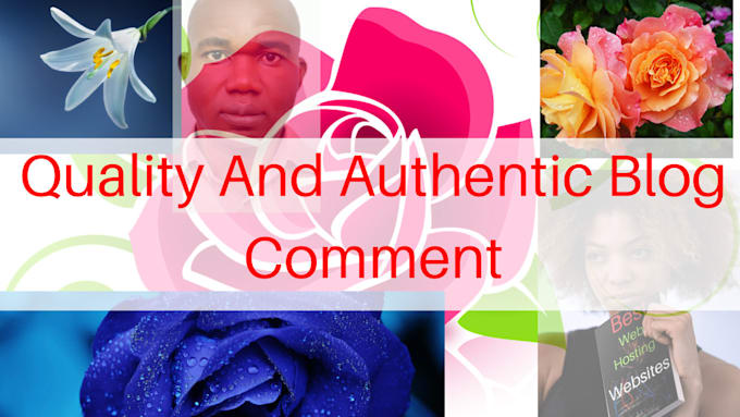 write quality, thoughtful and engaging blog comments