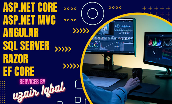 build or fix asp net mvc webapp and rest API