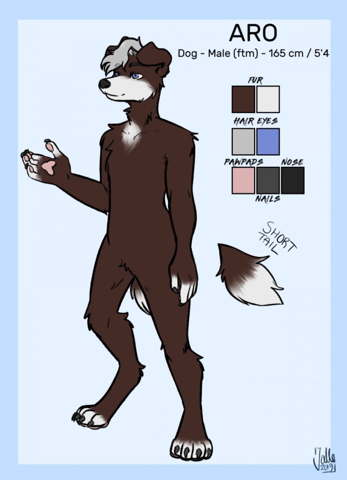 Draw reference sheet of your furry or other original character by Jalle_ |  Fiverr