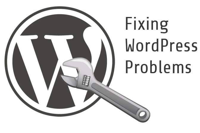 fix any wordpress or shopify issue