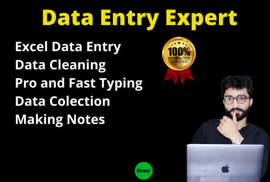 virtual assistant for data entry, web research copypaste